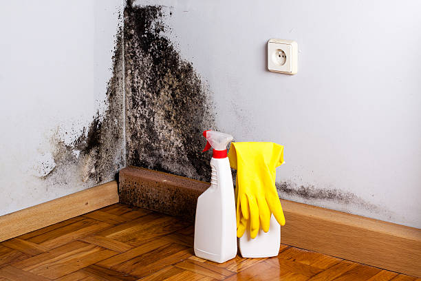 Best Post-Remediation Services in Central Falls, RI